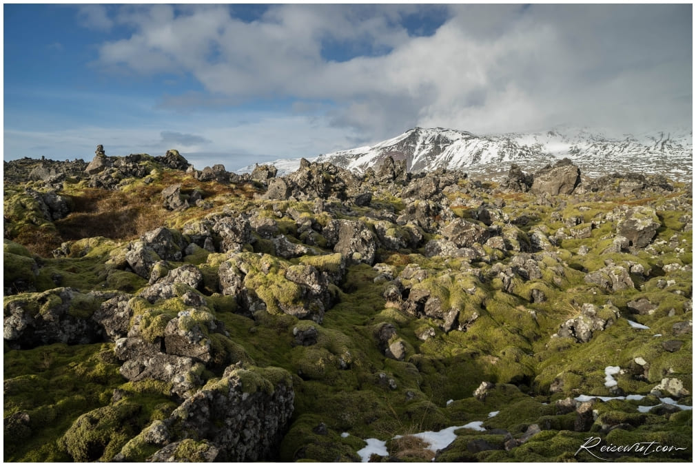 Majestätisch thront der Snæfellsjökull hinter einem Lavafeld