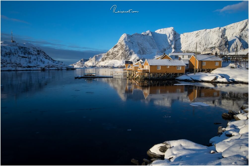 Die gelben Rorbuers des Ortes sind quasi weltbekannt und fast einmalig auf den Lofoten.