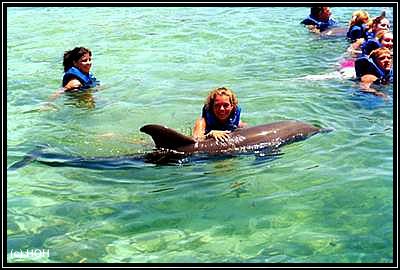 Interaktion mit den Delphinen in Xcaret