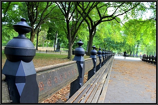 Central Park