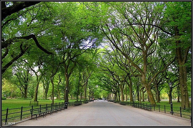 The Mall im Central Park ist früh Morgens noch schön leer