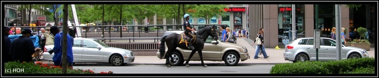 Berittene Polizei mitten im Manhattan