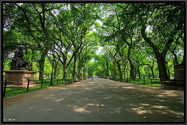 Die breiteste Strasse im Central Park - The Mall ... leergefegt