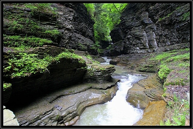 Watkins Glen Gorge