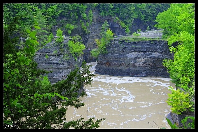 Brücke an den Lower Falls