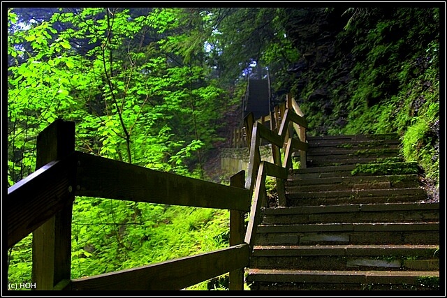 Das Ende naht beim erreichen der hölzernen Treppe