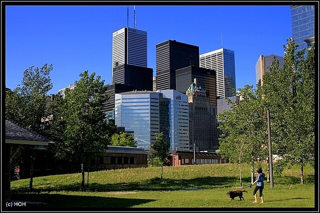 Downtown Toronto Downtown Toronto