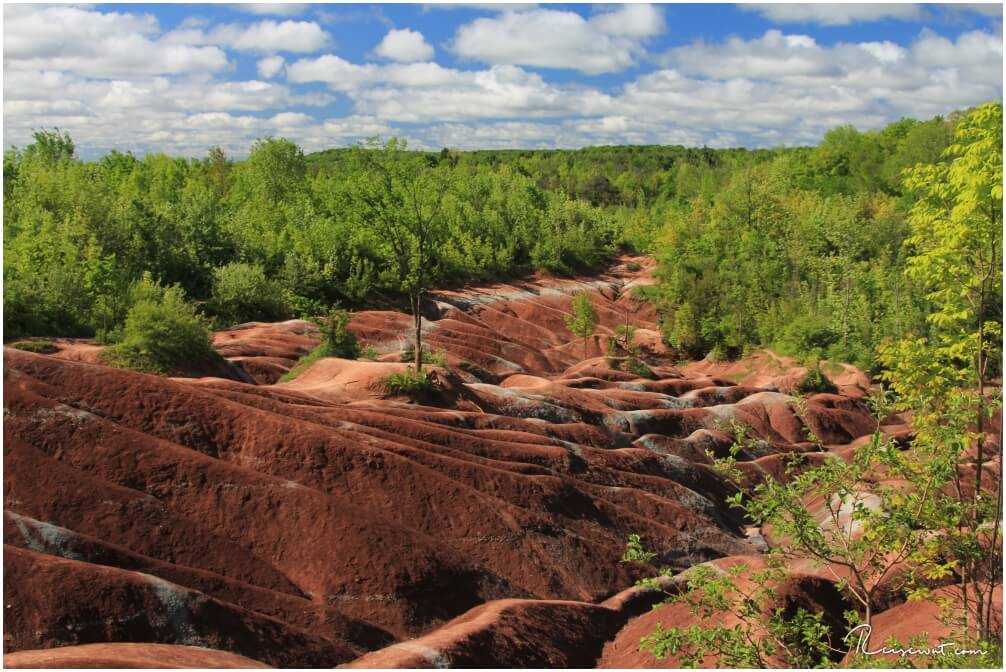 Cheltenham Badlands