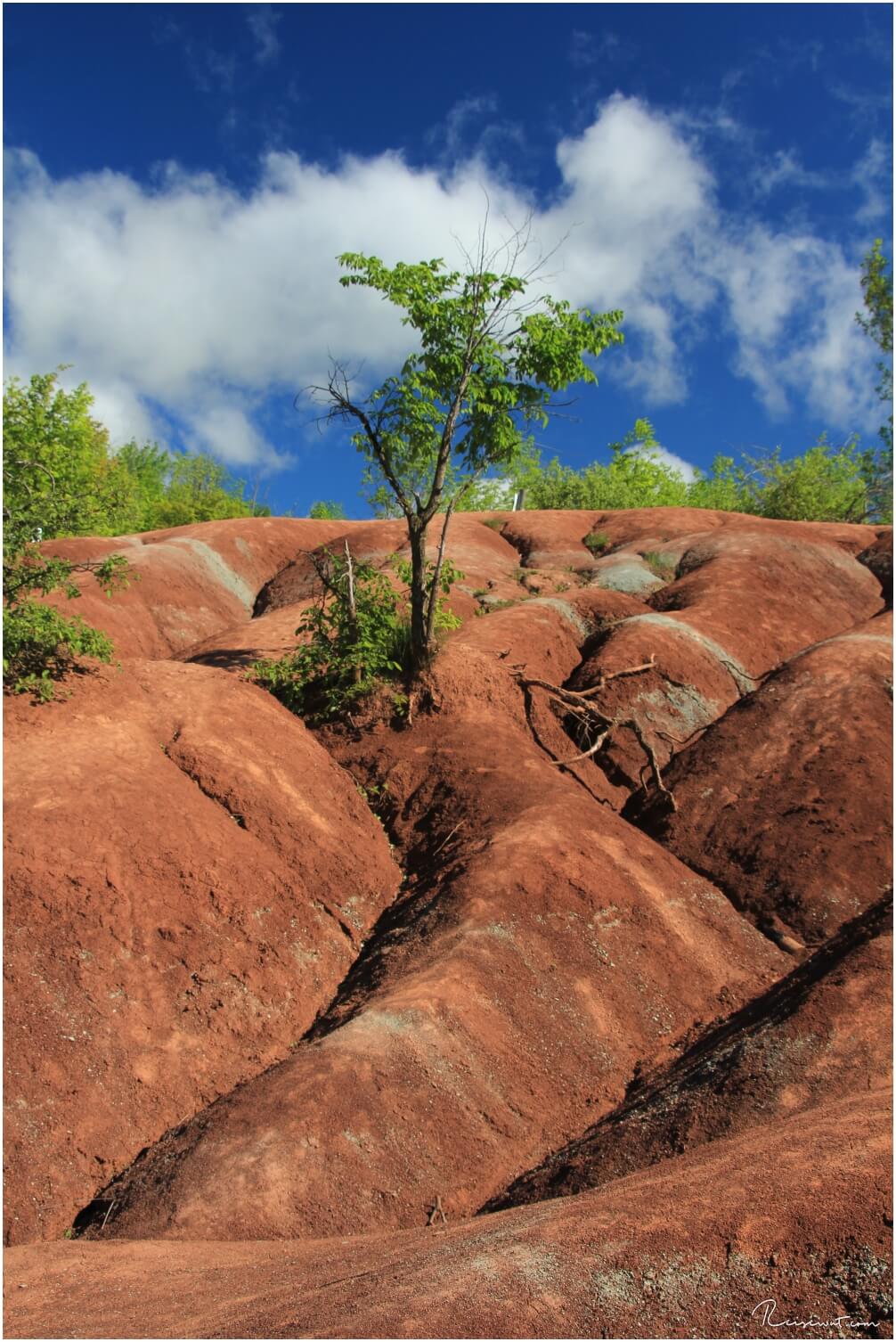 Beeindruckende Formationen in den Cheltenham Badlands