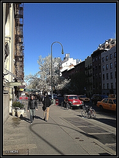 Auf dem Weg zur geschlossenen Highline kommen wir an einigen Blooming Spring Trees vorbei