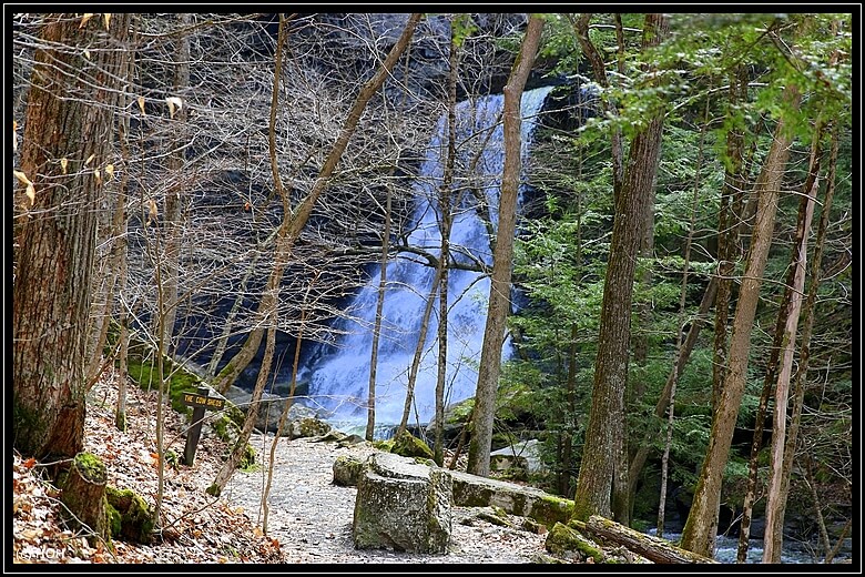 Lower Falls ... von der Absperrung aus geknipst