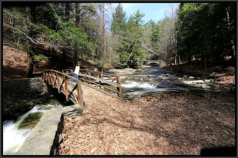 Wolf Creek Cascade