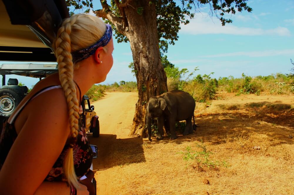 Auf Elefanten Safari im Udawalawe Nationalpark, Sri Lanka