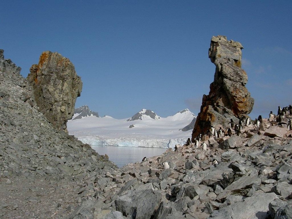 Ein Bild aus der Antarktis welches zeigt, dass es dort halt nicht nur Schnee, Eis und Pinguine gibt.