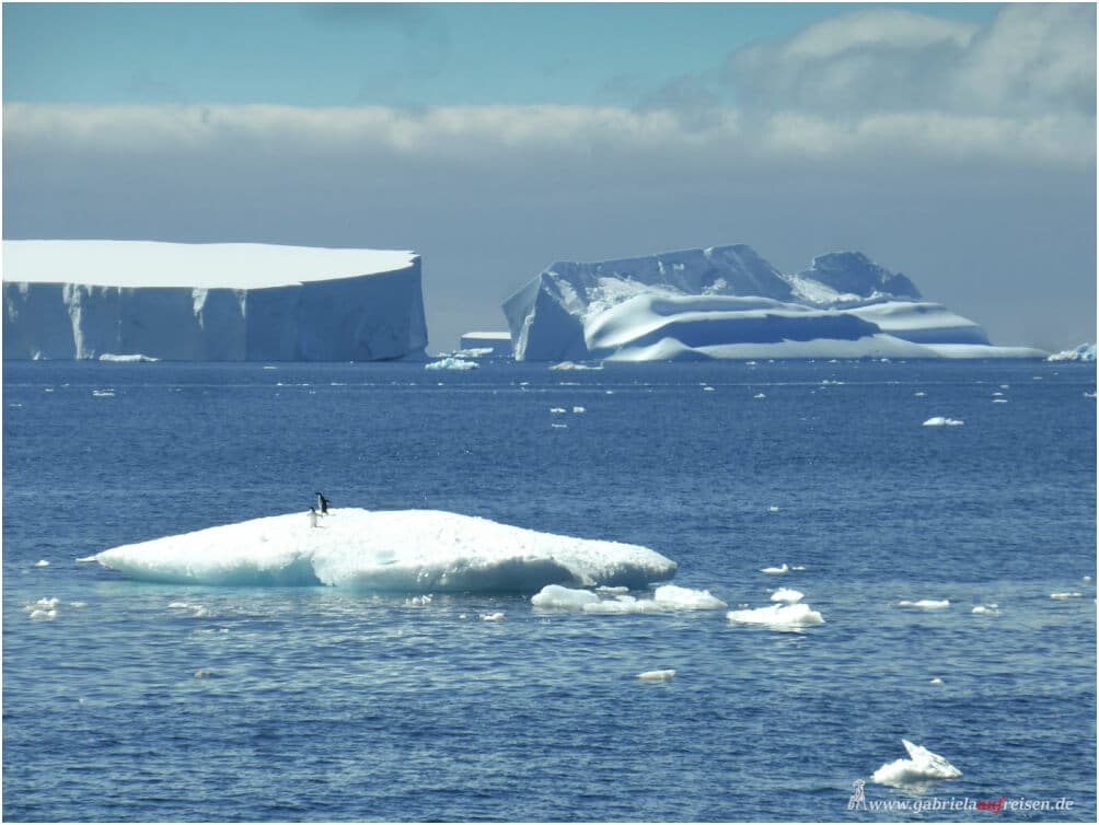 Antarktis: Eisberge mit Pinguinen, ungezähmte Natur