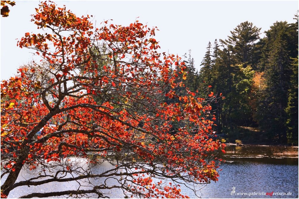Indian Summer in Nova Scotia, Kanada