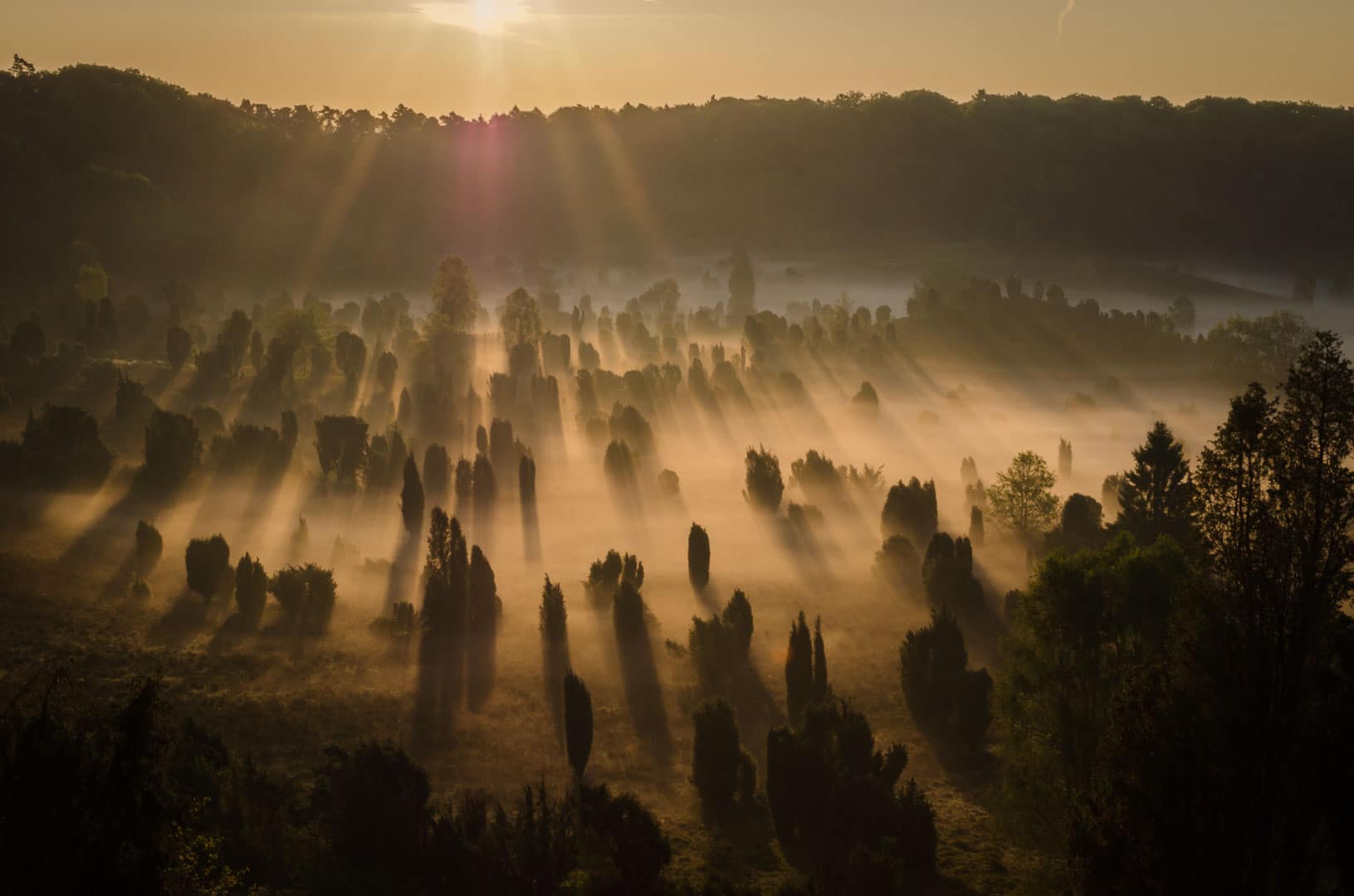 Aber auch in Deutschland gibt es wunderschöne Orte, z.B. die Lüneburger Heide. Hier hatte ich das Glück einen unglaublich schönen Sonnenaufgang zu erleben.