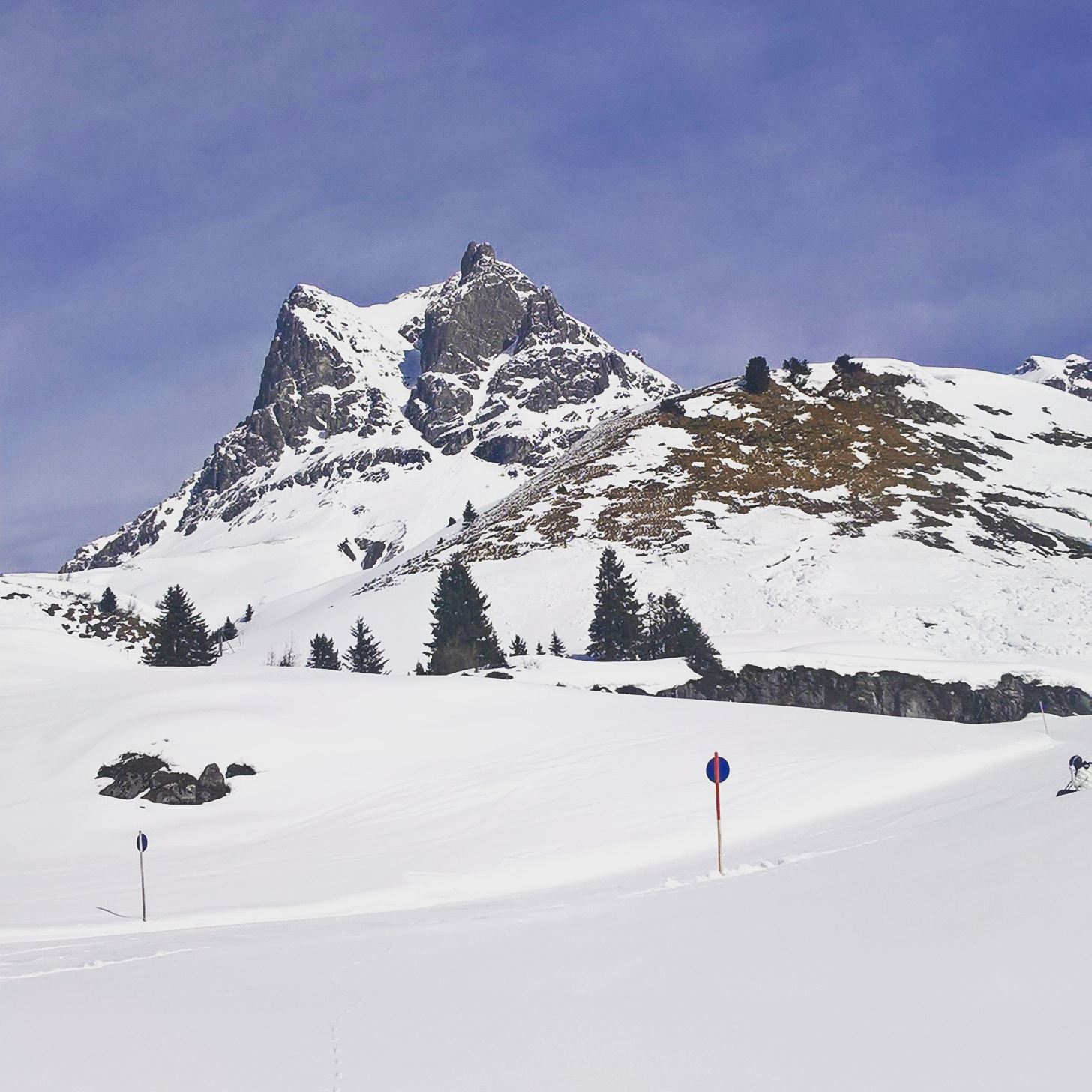 Widderstein im Winter