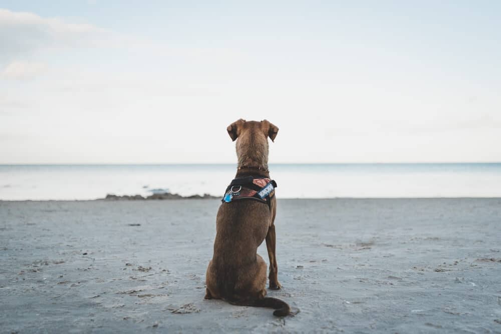 Paul an der Ostsee mit Weitblick.