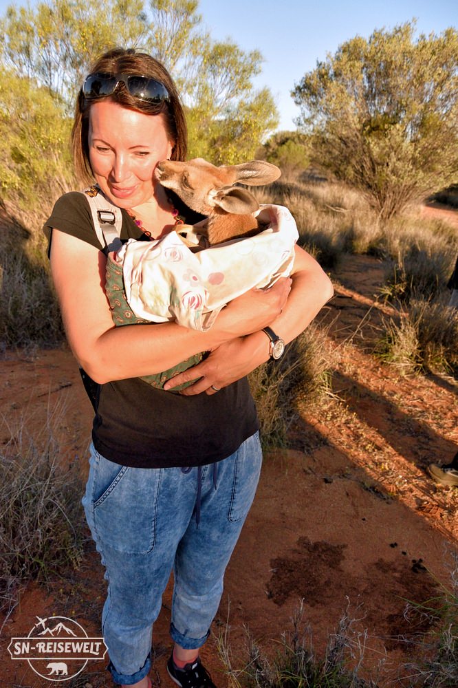 Kangaroo Sanctuary Australien