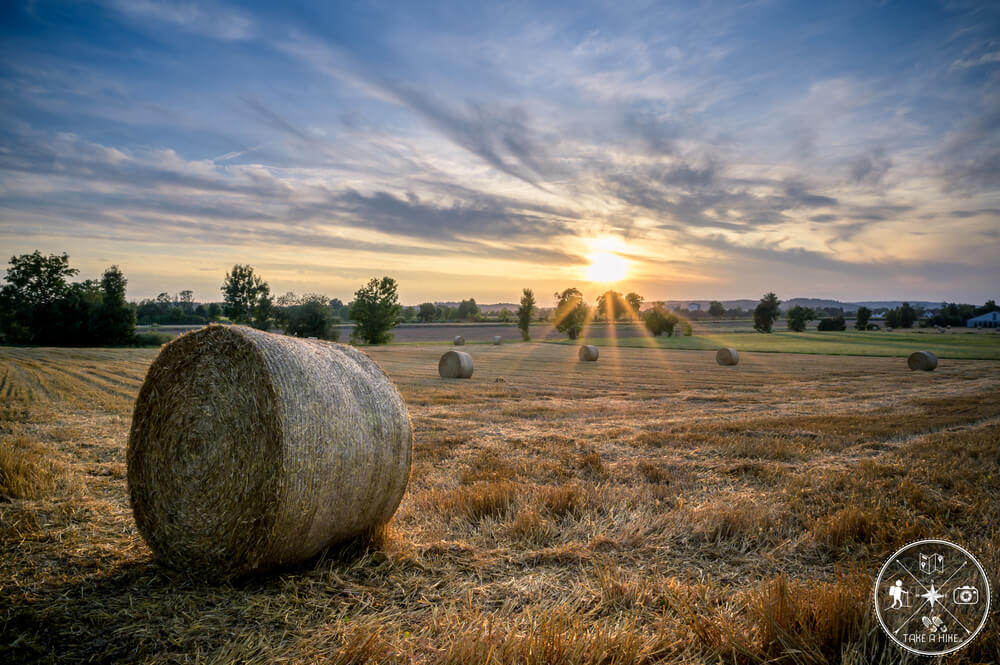 Ein simples Foto von Heuballen hier bei mir in der Umgebung Anfang August 2019. Es hatte so ziemlich alles gepasst für dieses Foto.