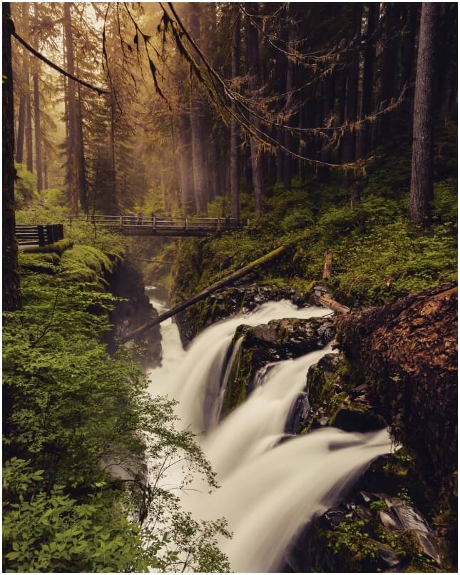 Sol Duc Falls im Olympic National Park