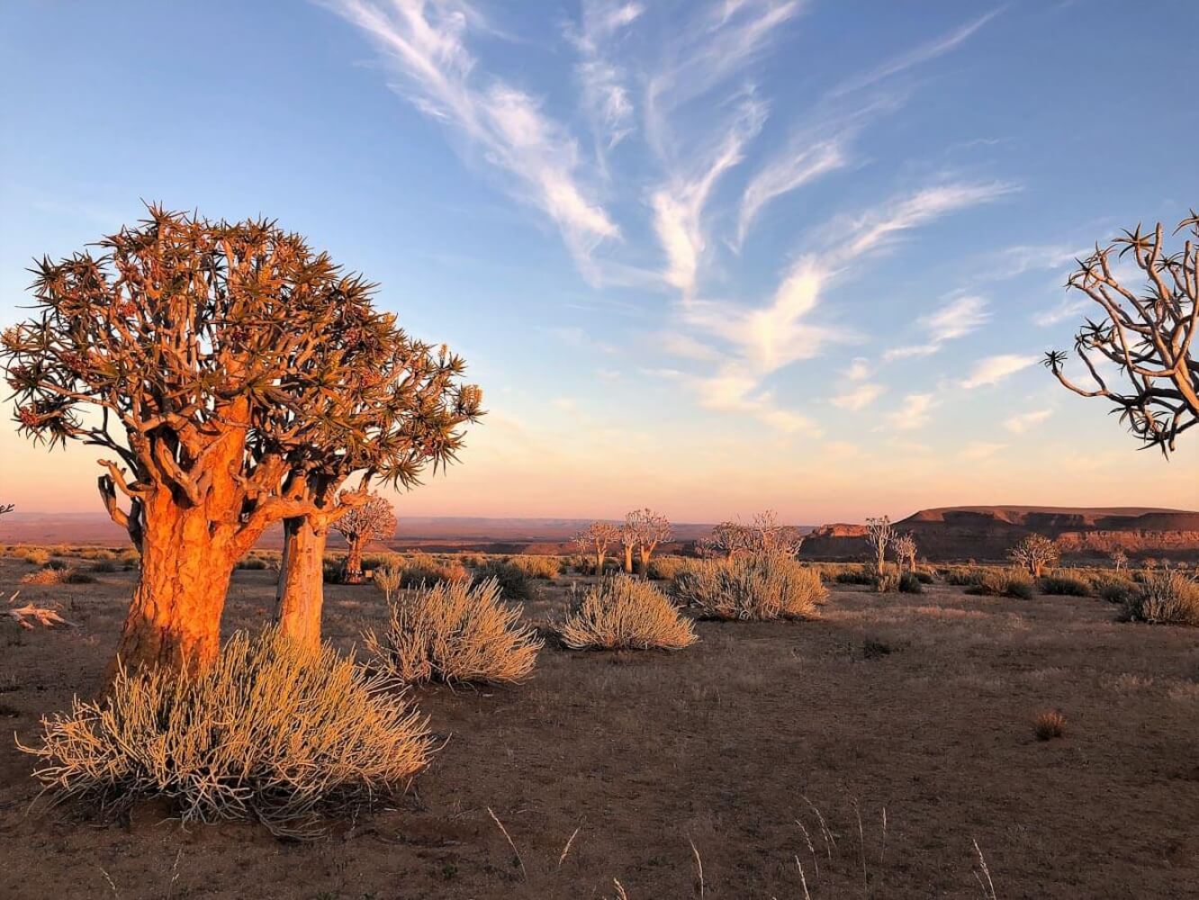 Frühaufsteher und daher liebe ich Sonnenaufgänge. Wenn sie noch dazu in faszinierender Umgebung – wie hier in Namibia stattfinden – umso schöner
