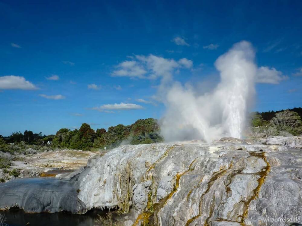 Sehr beeindruckend waren auch die Geysire in Rotorua auf der Nordinsel Neuseelands. Es waren die ersten und bisher letzten Geysire, die ich je gesehen habe und ich war einfach geflasht.