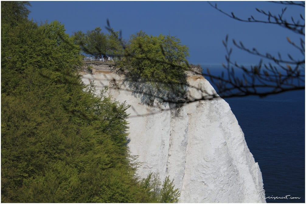 Kreidefelsen Rügen