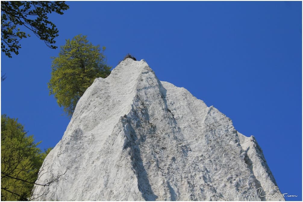 Blick hinauf auf den eigentlichen Königsstuhl