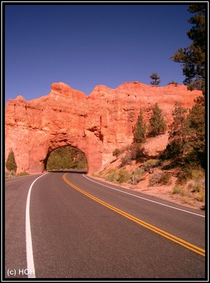 Im Red Canyon