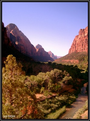 Im Zion National Park