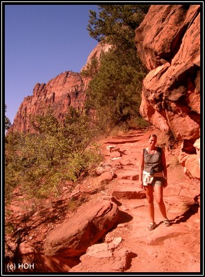 Im Zion National Park