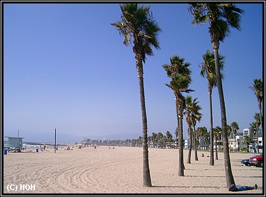 Entspannung nach dem Hinflug Los Angeles ... der Strand von Venice Beach