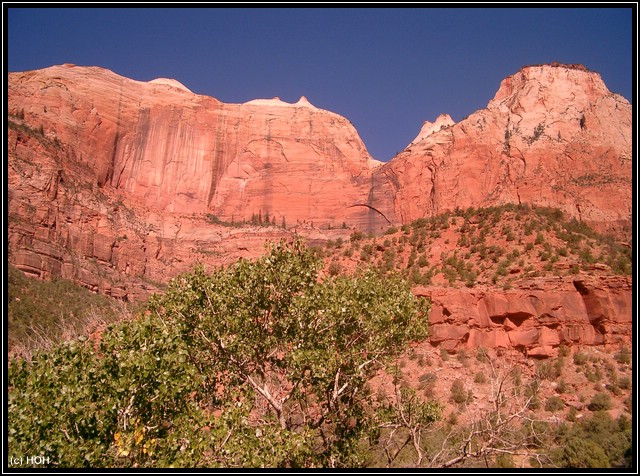 Im Zion National Park