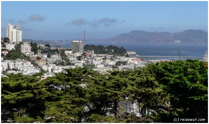 Golden Gate Bridge vom Coit Tower aus gesehen