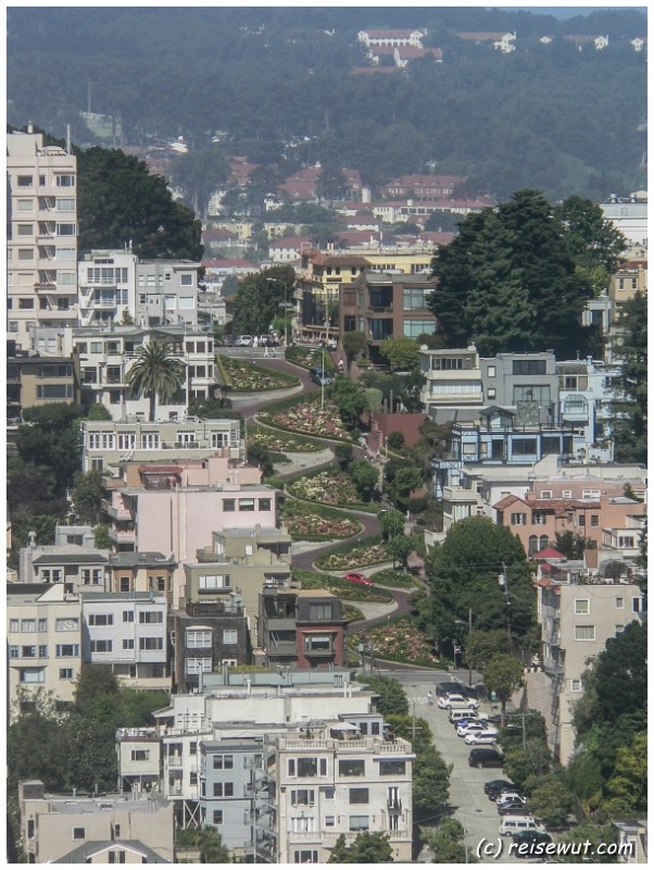  Lombard Street vom Coit Tower aus gesehen