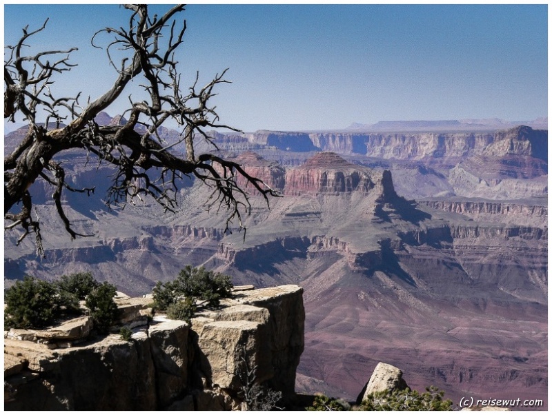 Nur einer von zahllosen Aussichtspunkte am South Rim