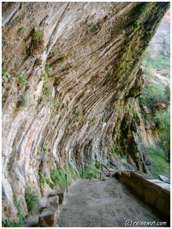 Weeping Rock