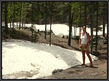 Im Bighorn National Forest liegt noch Schnee