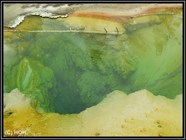 West Thumb Pool