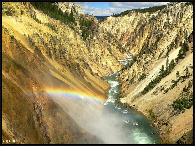 Blick bei den Lower Falls in den Grand Canyon of the Yellowstone