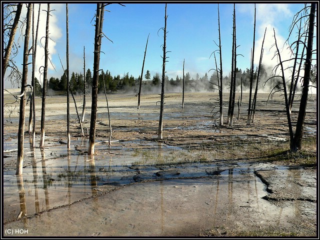 Lower Geysir Basin