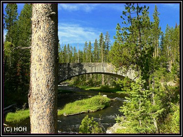 Moose Bridge