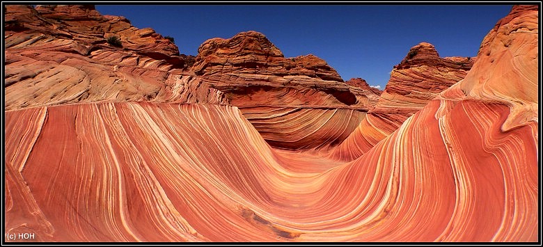 The Wave The Wave