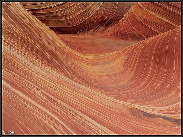 The Wave The Wave