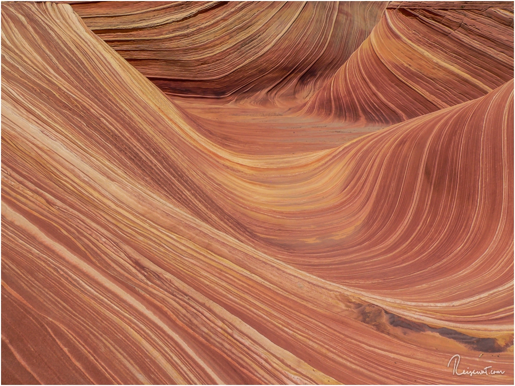 The Wave, wie man sie in der klassischen Ansicht häufig zu sehen bekommt