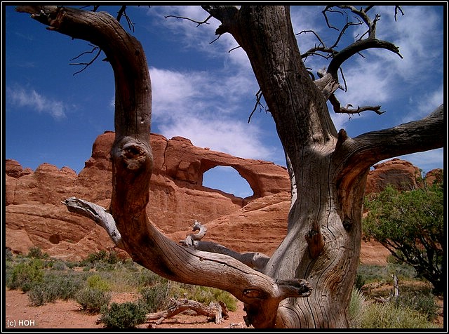 Der Skyline Arch