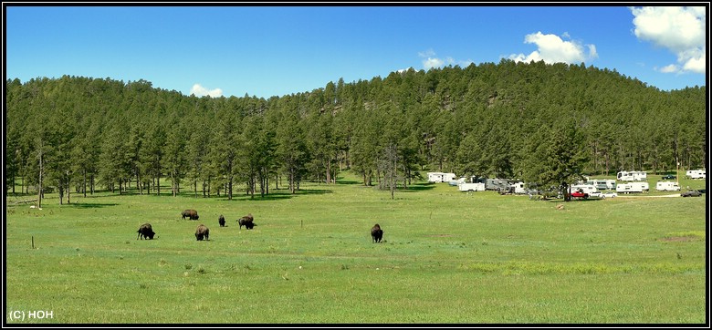 Impression vom Wildlife Loop